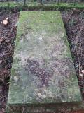 image of grave number 198190
